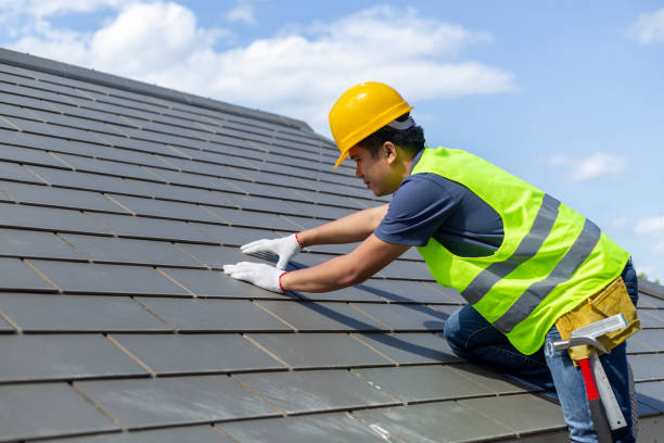 Best Rubber Roofing (EPDM, TPO)  in Roseville, MI