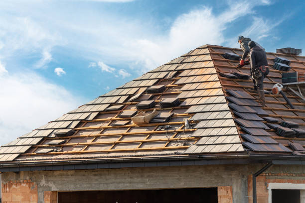 Best Solar Panel Roofing Installation  in Roseville, MI